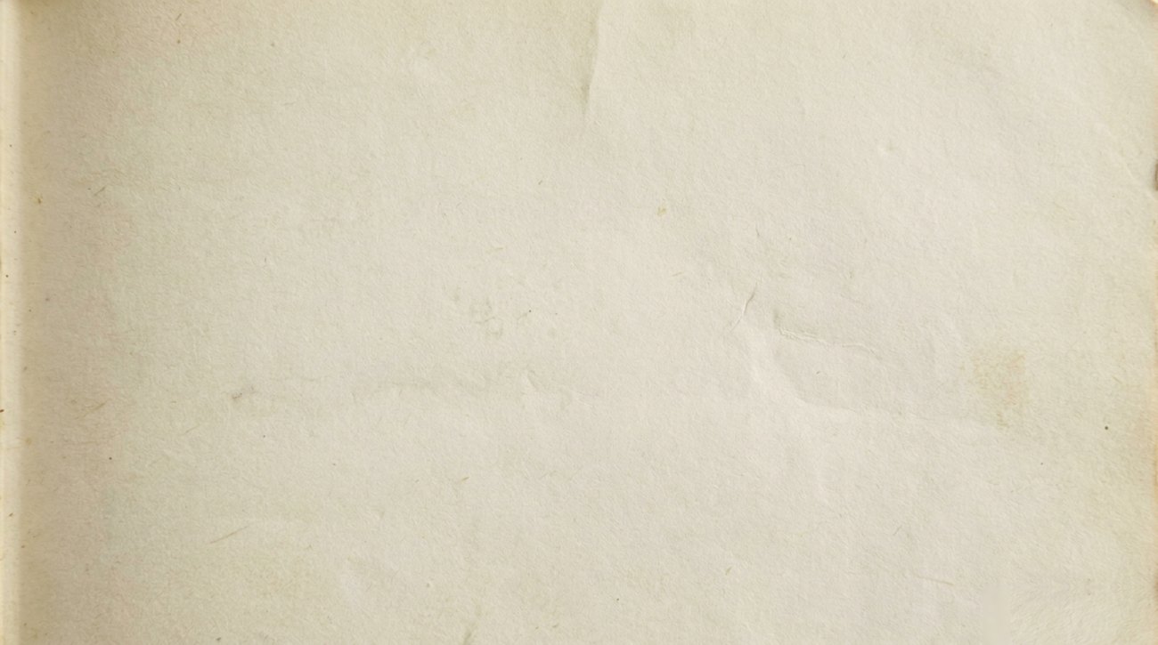 插圖